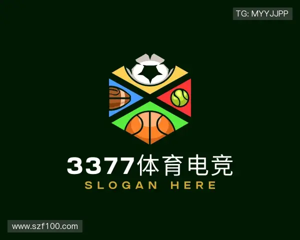 关于3377体育电竞